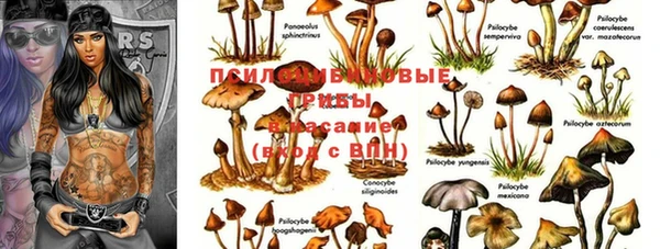 дистиллят марихуана Баксан
