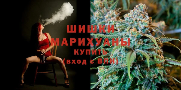 шишки Балахна