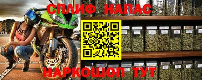 прущие крисы Гай