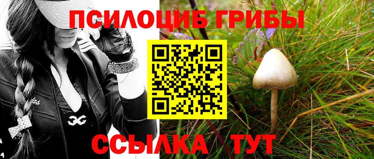 Галлюциногенные грибы Cubensis Балабаново