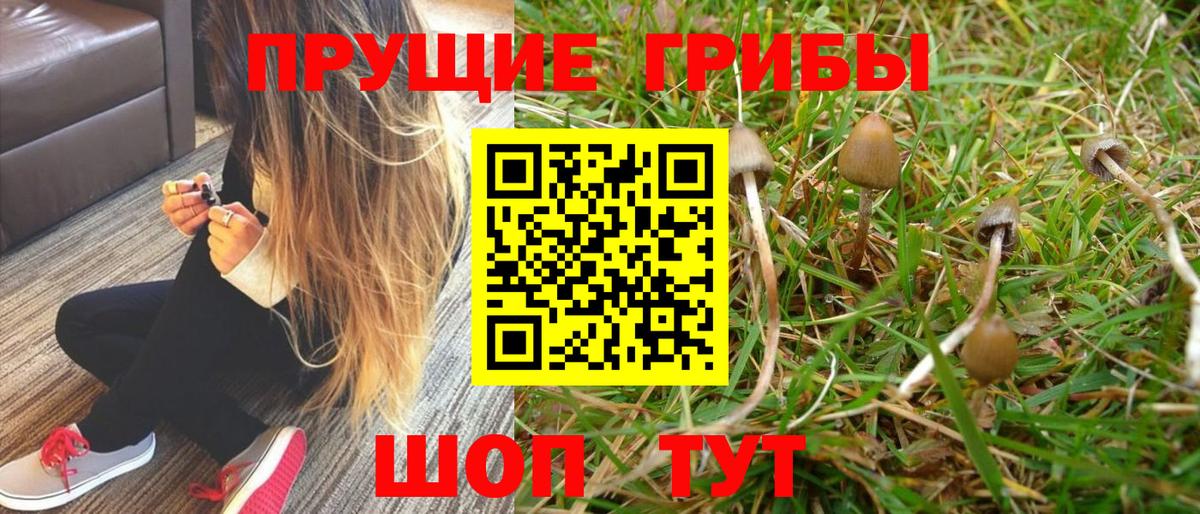 Псилоцибиновые грибы MAGIC MUSHROOMS  Вход с VPN  Балабаново 