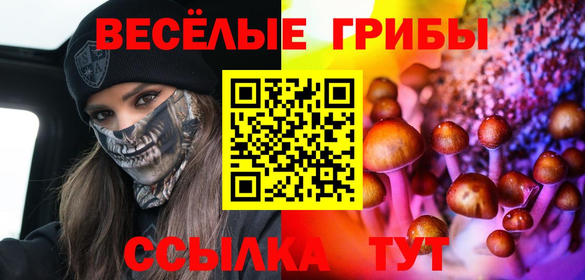 Псилоцибиновые грибы мухоморы  Вход с VPN  Балабаново 