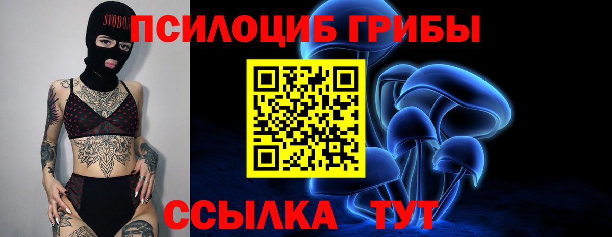 Псилоцибиновые грибы GOLDEN TEACHER  Балабаново  Псилоцибиновые грибы мухоморы 